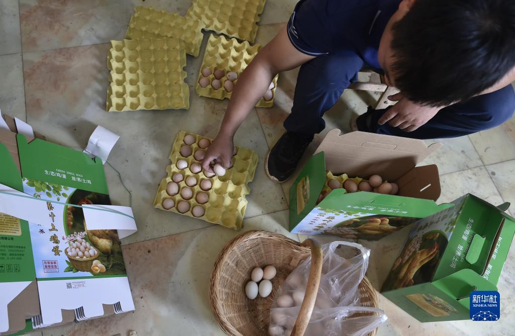 皇家金堡存1送18